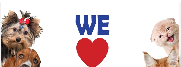 PFAS in Alabama Water: Protect Your Pets with Whole Home Water Filtration | Aqua Systems Photo