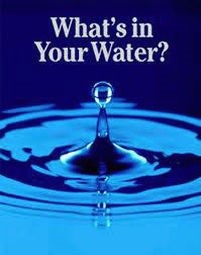 What's In Your Water?