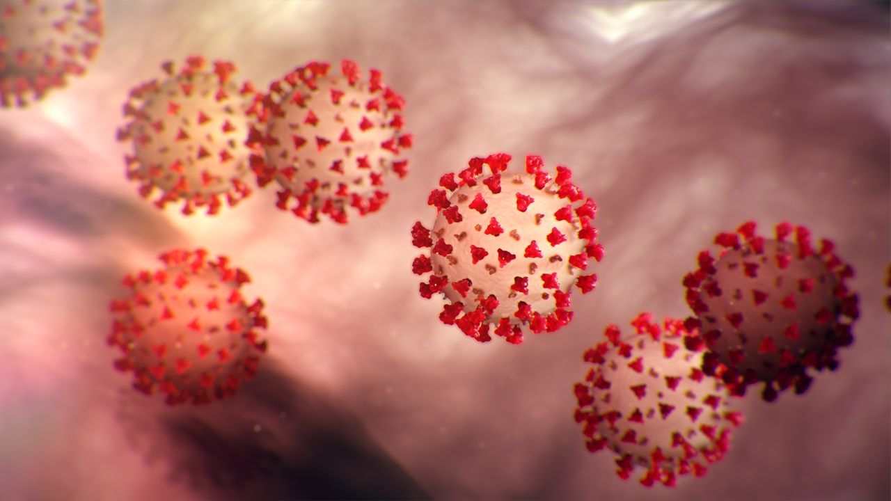 Biological view of coronavirus under a microscope